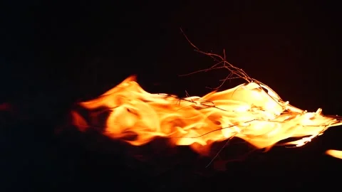 Super slow motion of real burning tree, close-up fire flame on black background Stock Footage 197987917