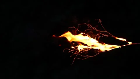 Super slow motion of real burning tree, close-up fire flame on black background Vídeo Stock 200701123