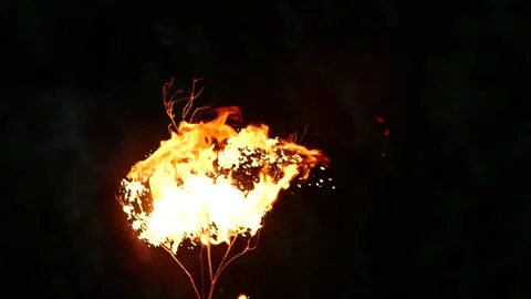 Super slow motion of real burning tree, close-up fire flame on black background Video stock 201317780