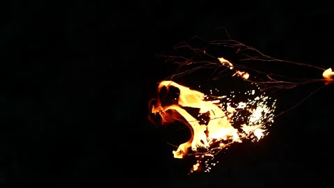Super slow motion of real burning tree, close-up fire flame on black background Vídeos de archivo 204493048
