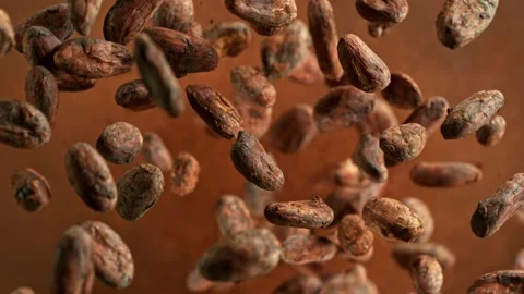 Super slow motion of rotating cocoa beans and powder. Stock Footage 227605590