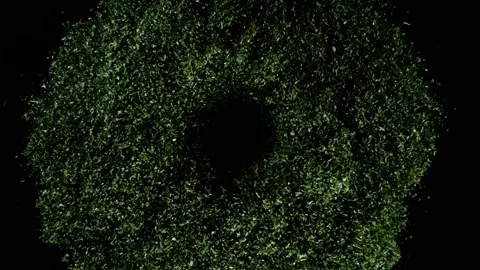 Super slow motion of rotating dry parsley or herbs spice. Stock Footage 166703667