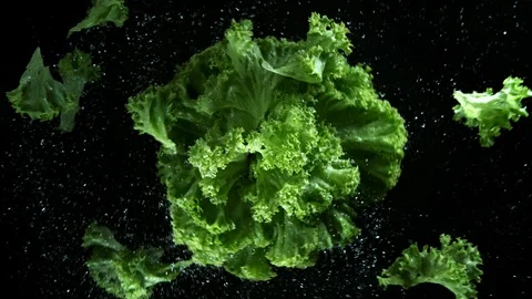 Super slow motion of rotating fresh salad with water drops. Stock Footage 122865138