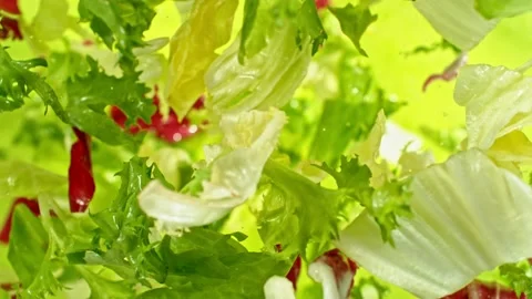 Super slow motion of rotating fresh lettuce flying up in the air Stock Footage 239429777