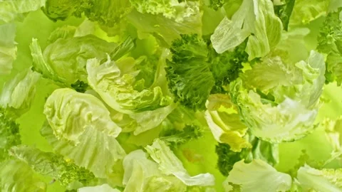 Super slow motion of rotating fresh lettuce flying up in the air Stock Footage 243015054