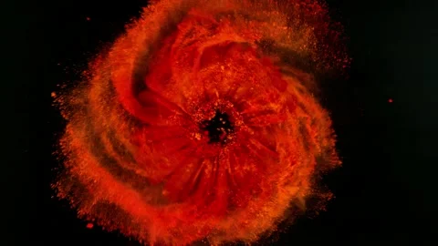 Super slow motion of rotating red gerbera blossom with powder. Vídeo Stock 217517523