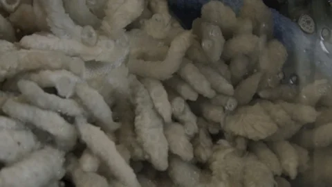 Super slow motion of a rug spinning in moving washing machine Stock Footage 117626310