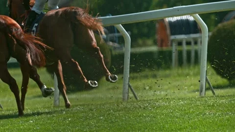 Super Slow Motion of Running Horses on Derby. Closeup of Legs. Stock Footage 308922014