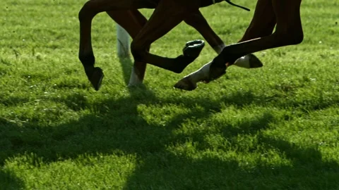 Super Slow Motion of Running Horses on Derby. Closeup of Legs. Stock Footage 308922075