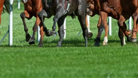 Super Slow Motion of Running Horses on Derby in Detail of Horses Legs. Stock Footage 320293833