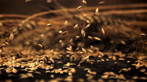 Super slow motion of rye grains fall on the table. Filmed on a high-speed camera Stock Footage 163611886