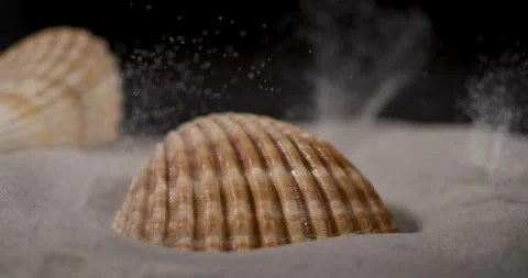  Super Slow Motion Sand Explosion Around Shell 스톡 동영상 335109042