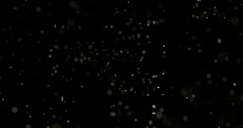Super slow motion of sawdust particles on black background. Vídeo Stock 216708422
