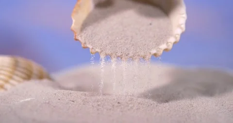 Super Slow Motion Scallop Shell Releasing Sand, Cinematic Slow Motion Stock Footage 335109018