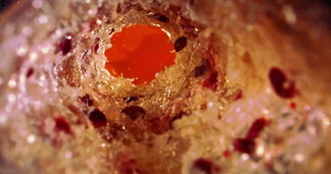 Super Slow Motion Shot of Beer Vortex Stock Footage 245630560