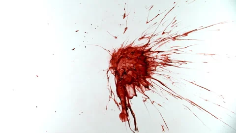Super Slow Motion Shot of Blood Splatter Isolated on White Background at 1000fps Stock Footage 337933140