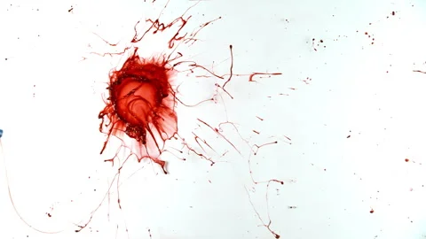 Super Slow Motion Shot of Blood Splatter Isolated on White Background at 1000fps Stock Footage 338332278