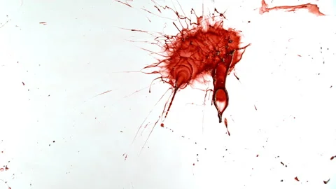 Super Slow Motion Shot of Blood Splatter Isolated on White Background at 1000fps Stock Footage 341834216