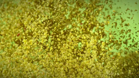 Super Slow Motion Shot of Crushed Pistachio Nuts Flying Up on Green Background Stock Footage 312091973