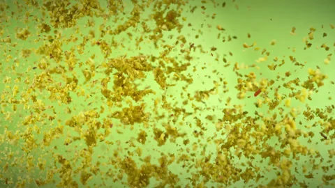 Super Slow Motion Shot of Crushed Pistachio Nuts Flying Up on Green Background Stock Footage 312277213