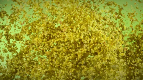 Super Slow Motion Shot of Crushed Pistachio Nuts Flying Up on Green Background Stock Footage 312665206