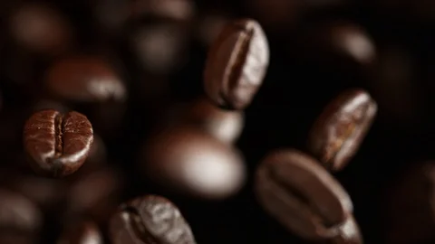 Super Slow Motion Shot of Exploding Premium Coffee Beans Towards the Camera at Stock Footage 113686907