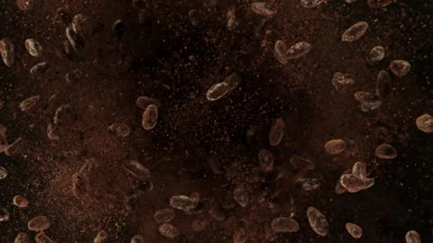 Super Slow Motion Shot of Exploding Raw Chocolate Beans and Cocoa Powder at 動画素材 137033197