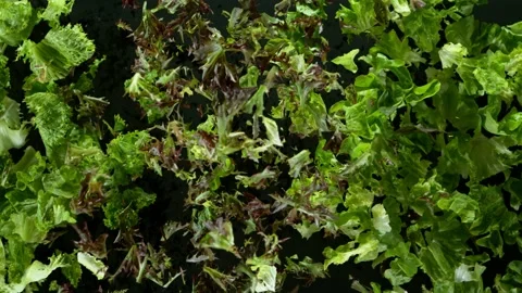 Super Slow Motion Shot of Exploding Variation of Green Salad at 1000fps. Stockbeeldmateriaal 138962104