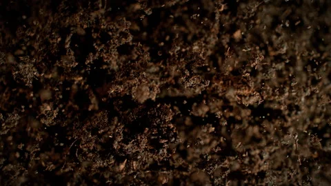 Super Slow Motion Shot of Exploding Substrate Towards Camera at 1000fps. Stock Footage 319750062