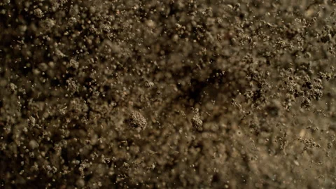 Super Slow Motion Shot of Exploding Soil Towards Camera at 1000fps. Stock Footage 320083181