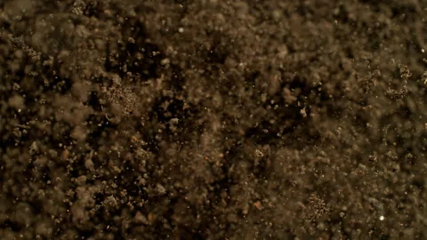 Super Slow Motion Shot of Exploding Soil Towards Camera at 1000fps. 库存影片 330401116