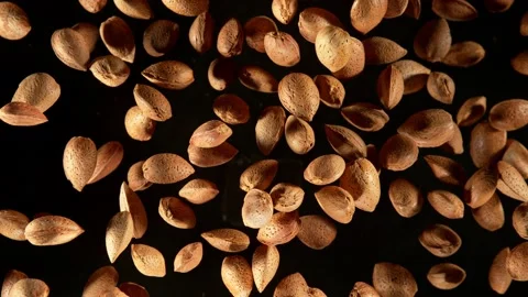 Super Slow Motion Shot of Flying Whole Almond Nuts Towards Camera Isolated on Stock Footage 169118307
