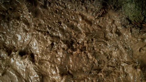 Super Slow Motion Shot of Flying and Splashing Mud in Nature at 1000fps. Stock Footage 318514760