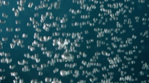 Super Slow Motion Shot of Moving Bubbles on Blue Background  1000fps Stock Footage 316250003