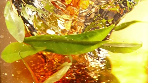 Super Slow Motion Shot of Pouring Tea into Whirl with Green Leaves at 1000fps. Stock Footage 190845580
