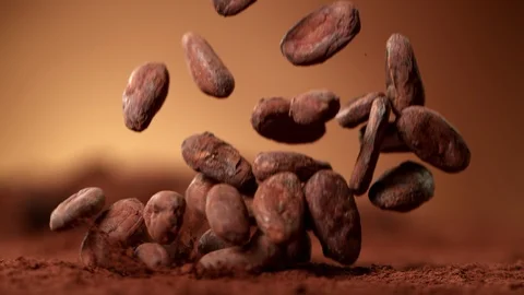 Super Slow Motion Shot of Raw Chocolate Beans Falling into Cocoa Powder at Video stock 123893747
