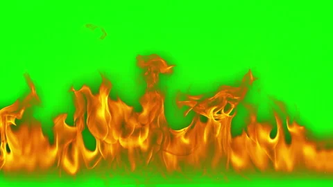 Super Slow Motion Shot of Real Fire Flames on Green Screen and White Background Stock Footage 341232124