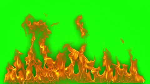 Super Slow Motion Shot of Real Fire Flames on Green Screen and White Background Stock Footage 341832773