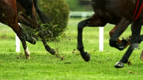 Super Slow Motion Shot of Running Horses at 1000fps. Video stock 111587051