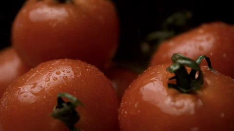 Super Slow Motion Shot of Tomatoes Being Washed Stock Footage 270407406