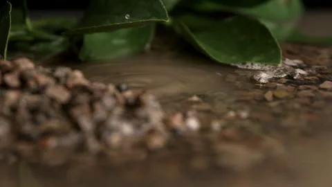 A Super Slow Motion Shot of Water Dropping Into a Puddle Stock Footage 270409360