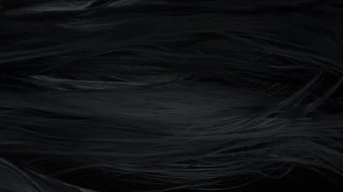 Super Slow Motion Shot of Waving Black Hair at 1000 fps. Stock Footage 329176880