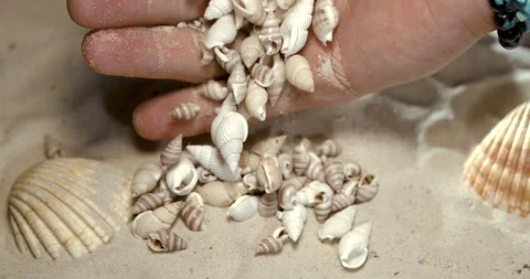 Super Slow Motion Slowmotion Beach Shell Scattering. Quiet Seaside Scene Stock Footage 335108967