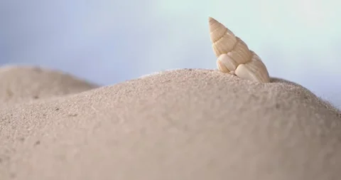 Super Slow Motion Spiral Shell Perched On Dune In Super Slow Motion Stock Footage 334707956