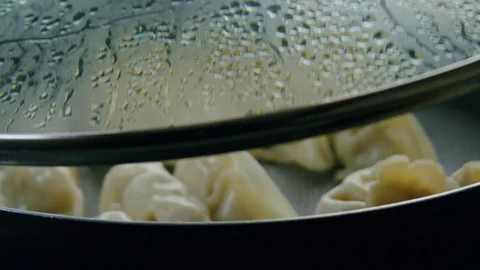 Super Slow Motion Steamy Pot With Homemade Potstickers Chinese Dumplings 動画素材 128695120