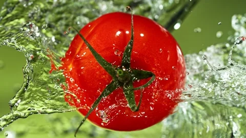 Super Slow Motion of Tomato With Water Splashes. Stock Footage 201188949