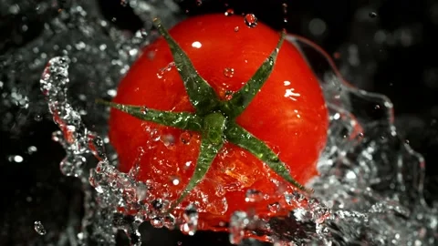 Super Slow Motion of Tomato With Water Splashes. Stock Footage 201189748