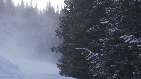 Super Slow Motion Trees And Snow 스톡 동영상 105186520
