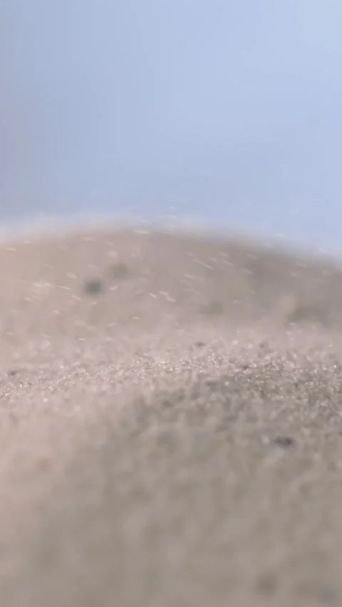 Super Slow Motion Vertical Cone Seashell Rising From Sand In Super Slow Motion Stock Footage 334708471