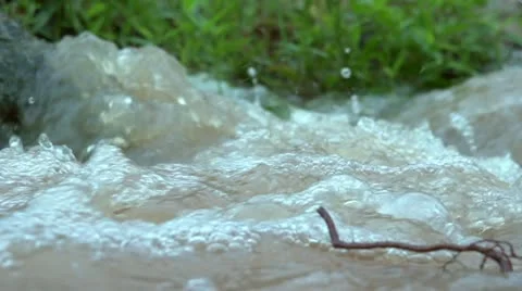 Super Slow Motion Water bubbling and boiling in small stream or river Video stock 11407706
